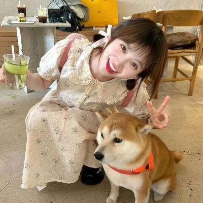 狐獴家族