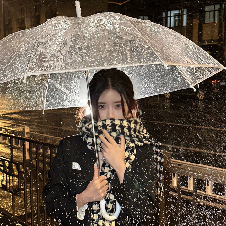 野良与皇女与流浪猫之心