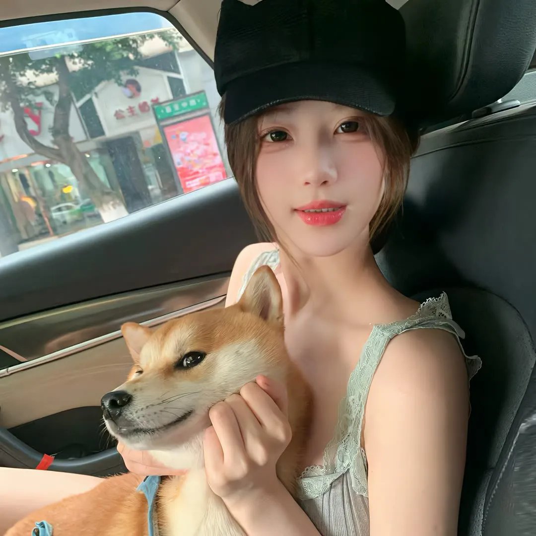 盗贼泰瑞莎